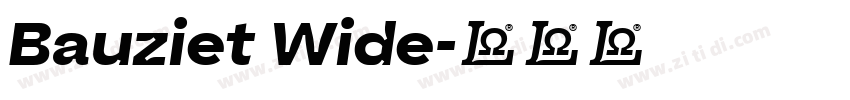 Bauziet Wide字体转换